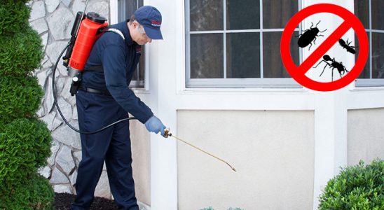 Bursa Dezenfeksiyon böcek ilaçlama ve haşere kontrolü — ilaclama-tr.com